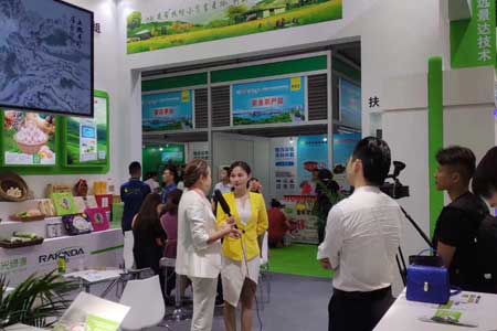 龙8头号玩家(国际)官方网站