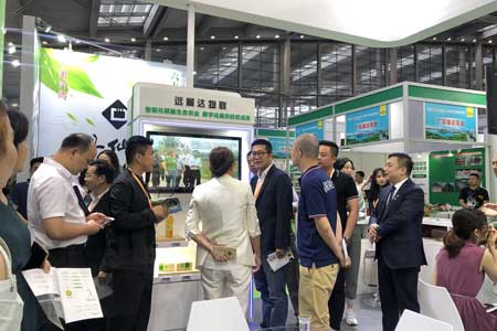 龙8头号玩家(国际)官方网站